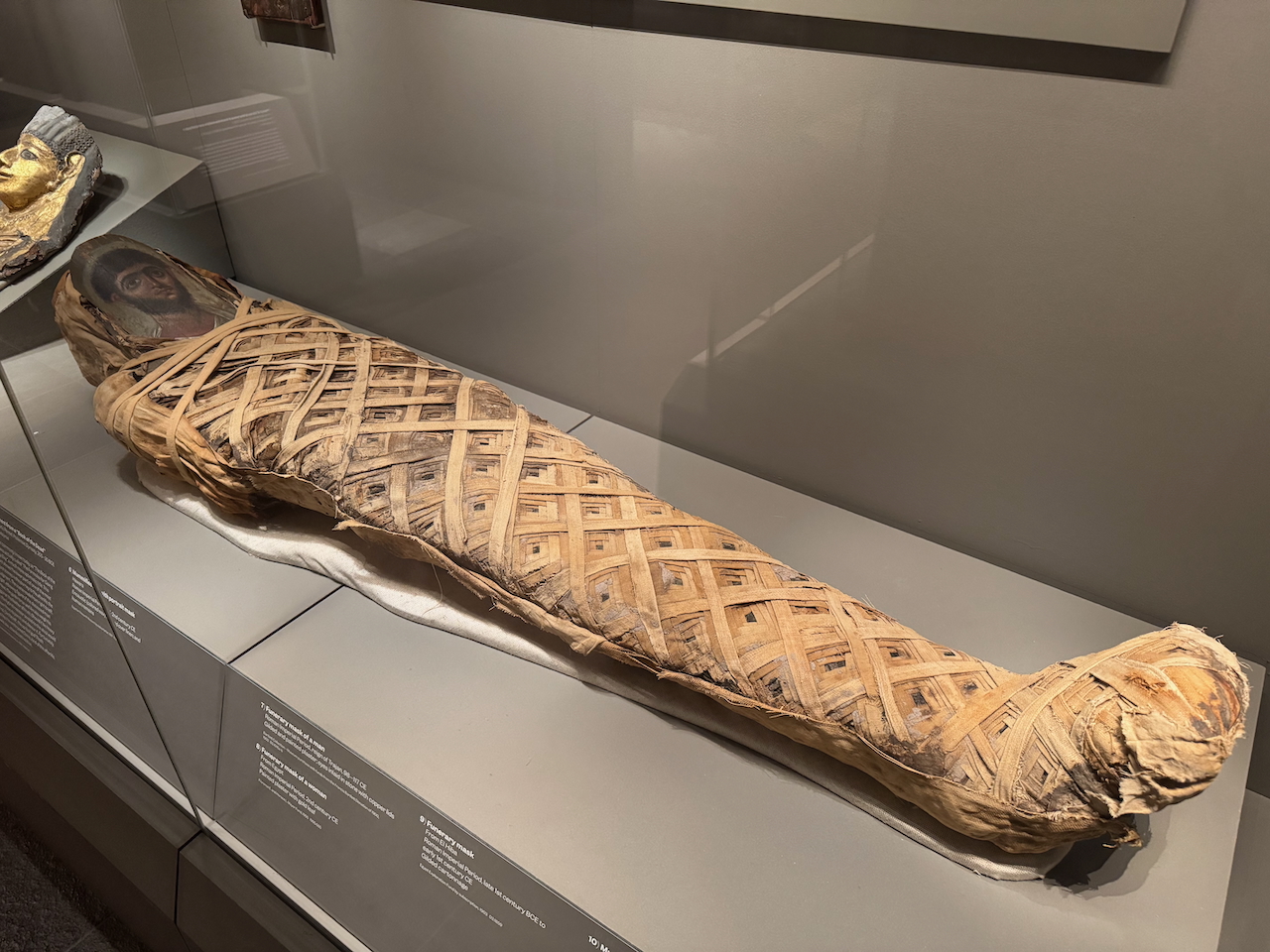 Egyptian Mummy