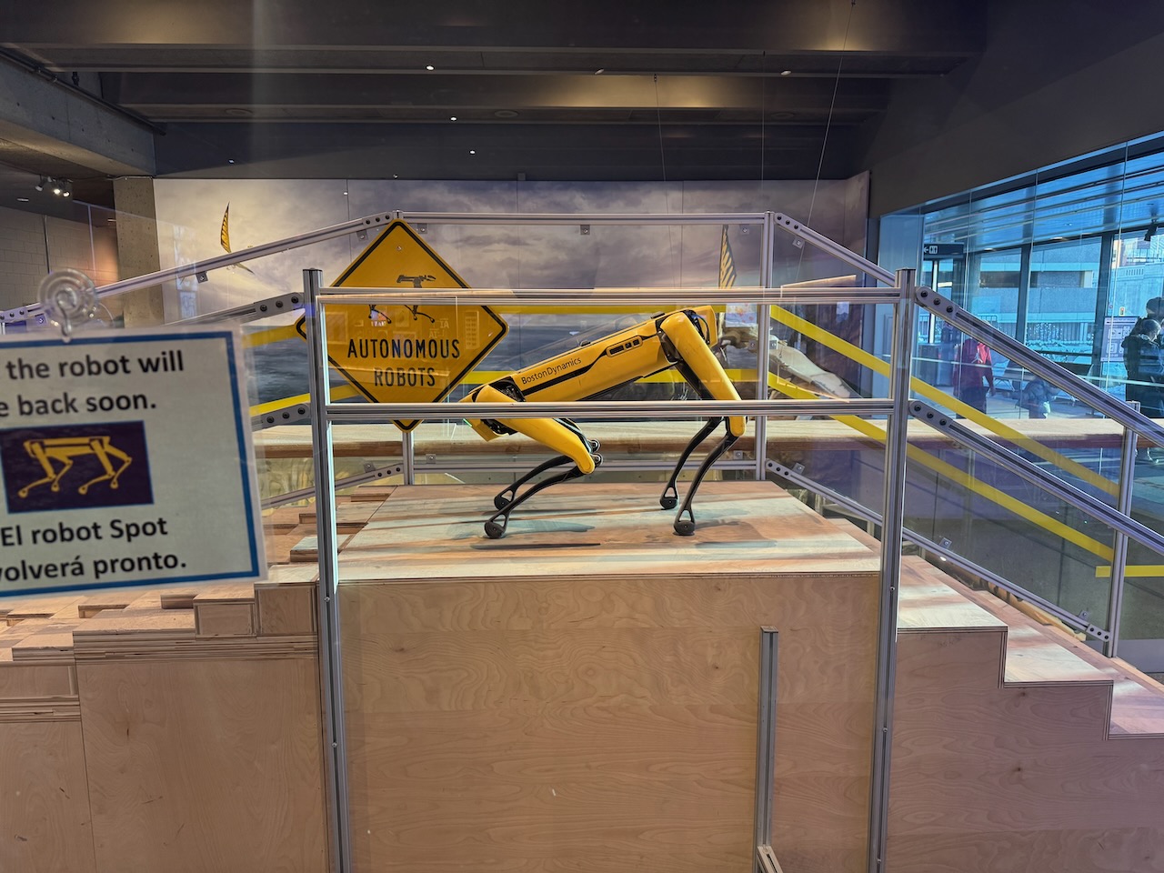 Boston Dynamics Robot
