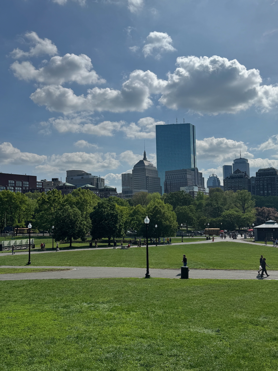 Park Skyline