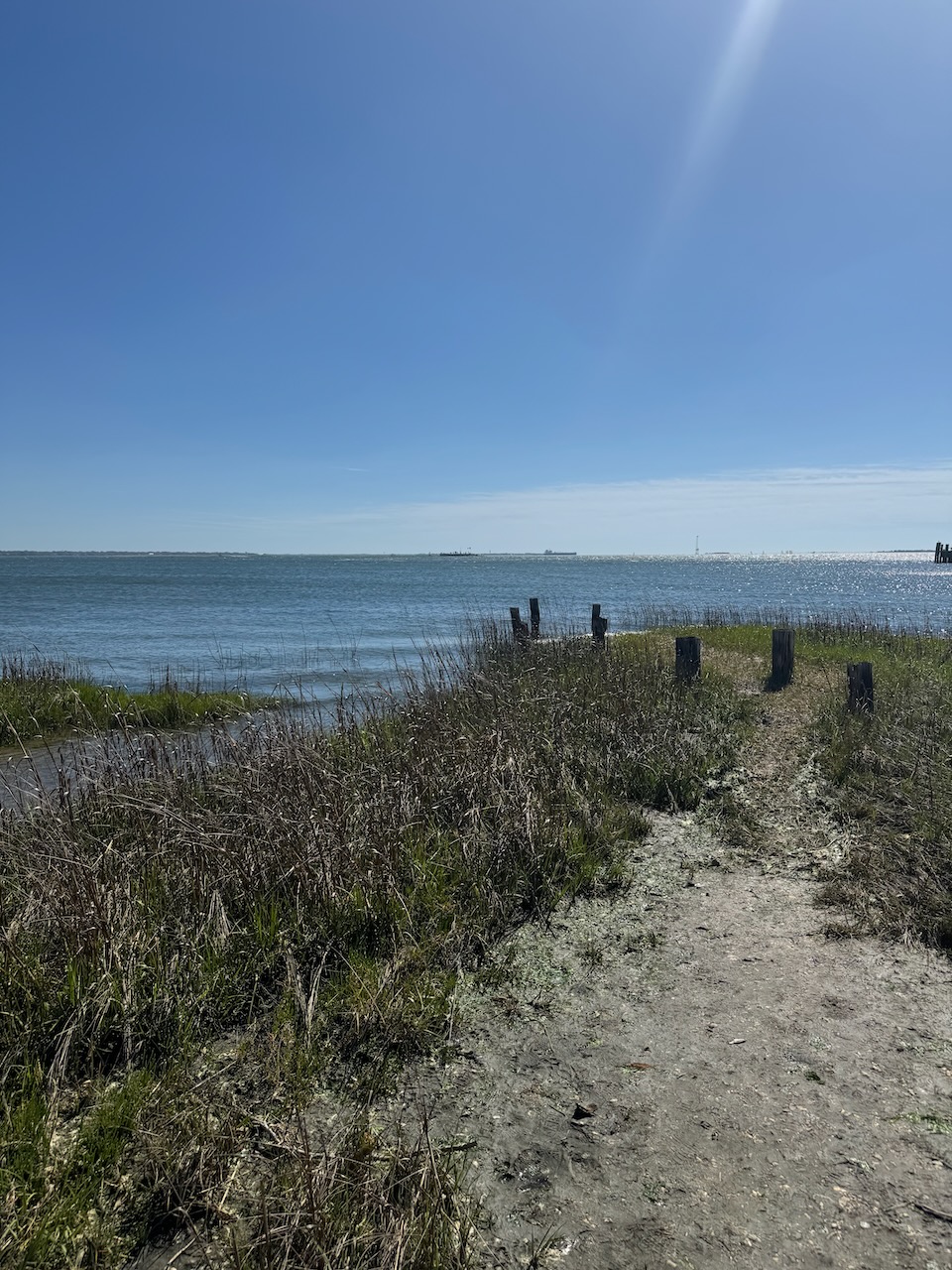 Coast at Waterfront Park