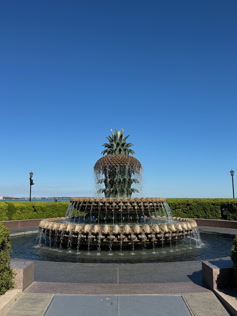 Pineapple Fountain