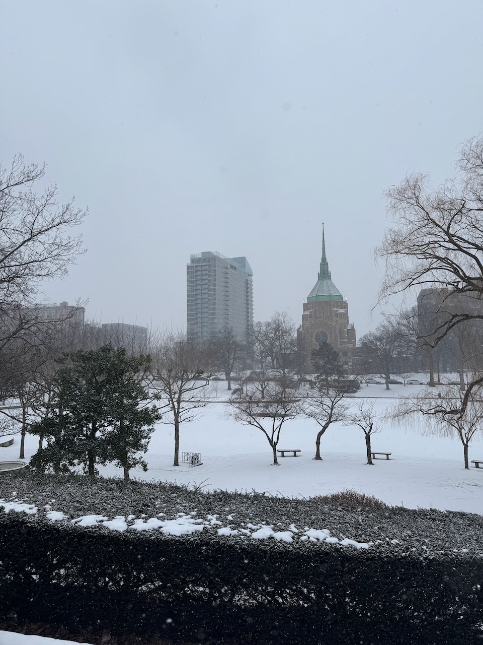 A park near downtown