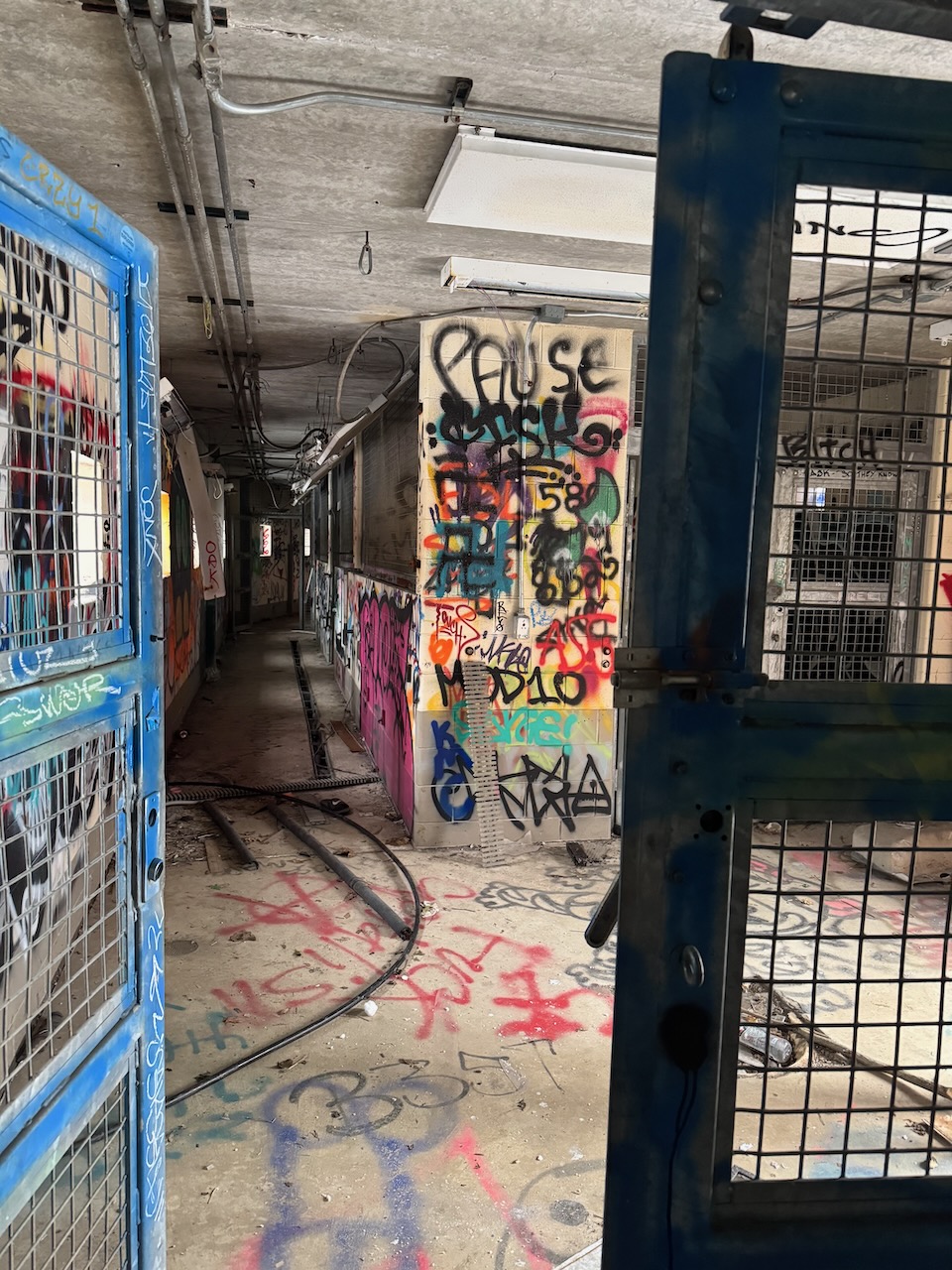 Inside Belle Isle Zoo (4)