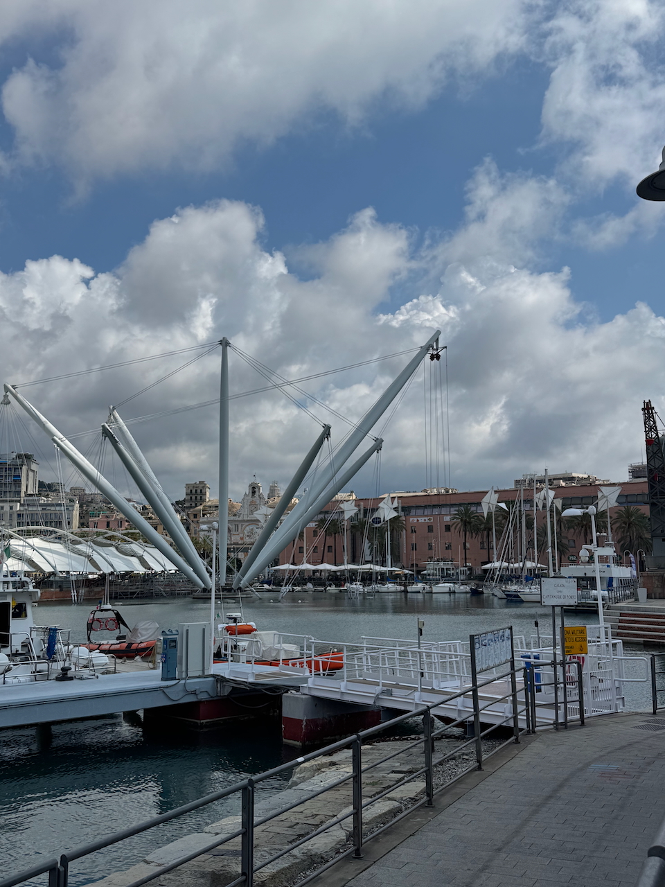 Bigo Panoramic Lift