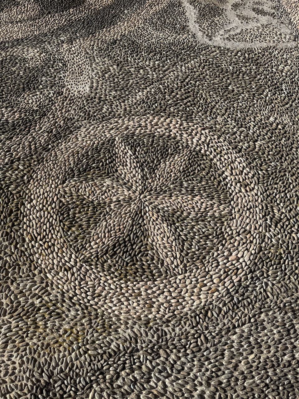 Floor