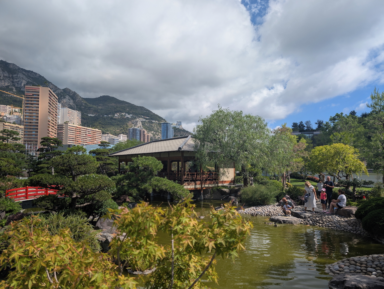 View at the garden