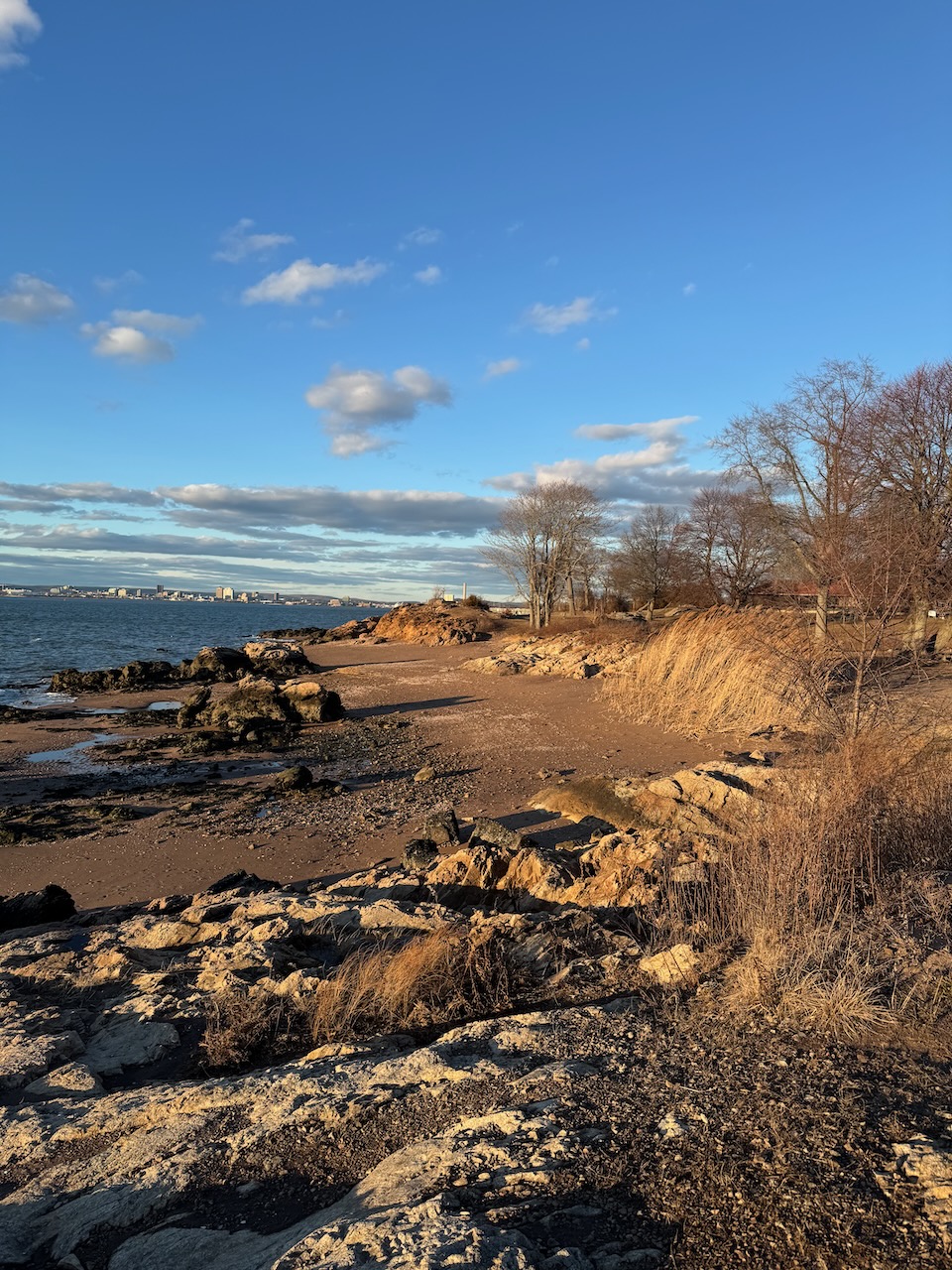 Coastline with downtown in the background