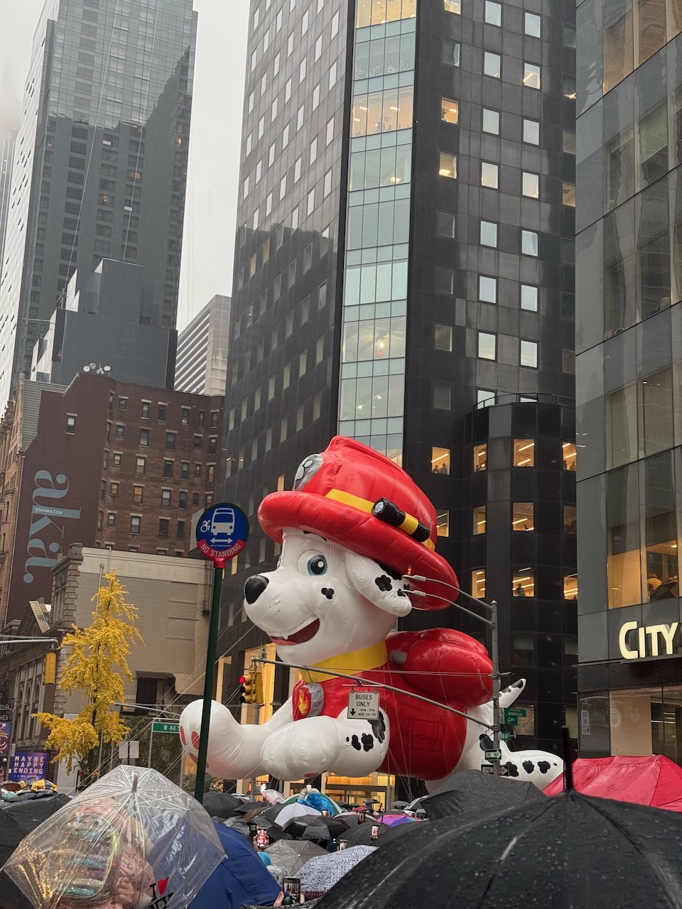 Floating balloon at Macy's parade