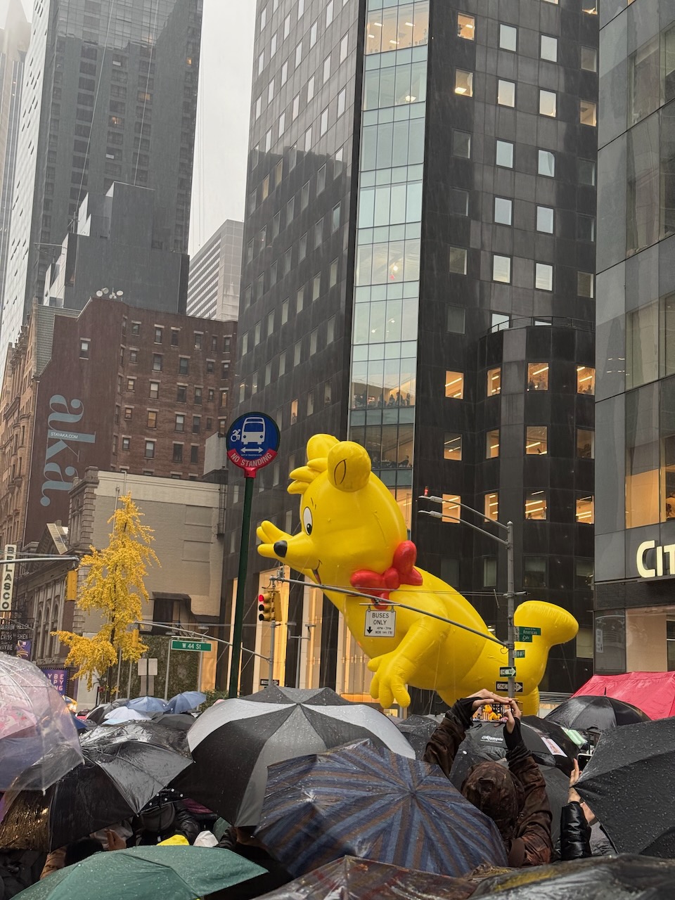Floating balloon at Macy's parade