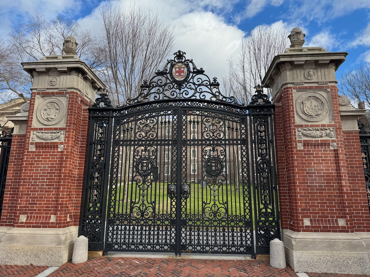A nice looking gate!