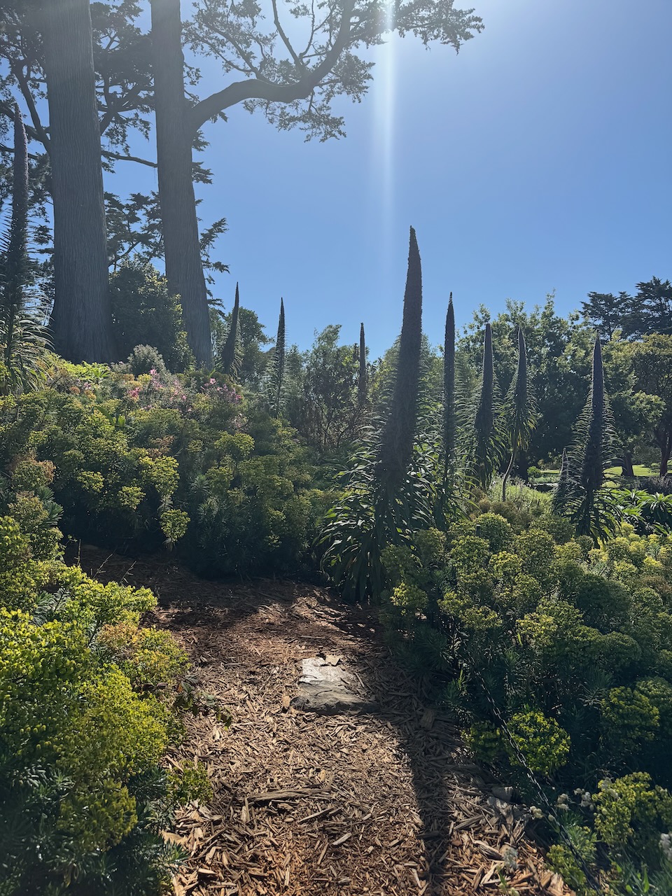 Botanic Garden (1)