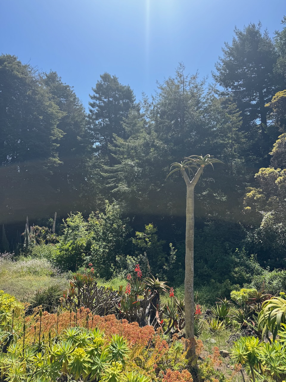 Botanic Garden (3)