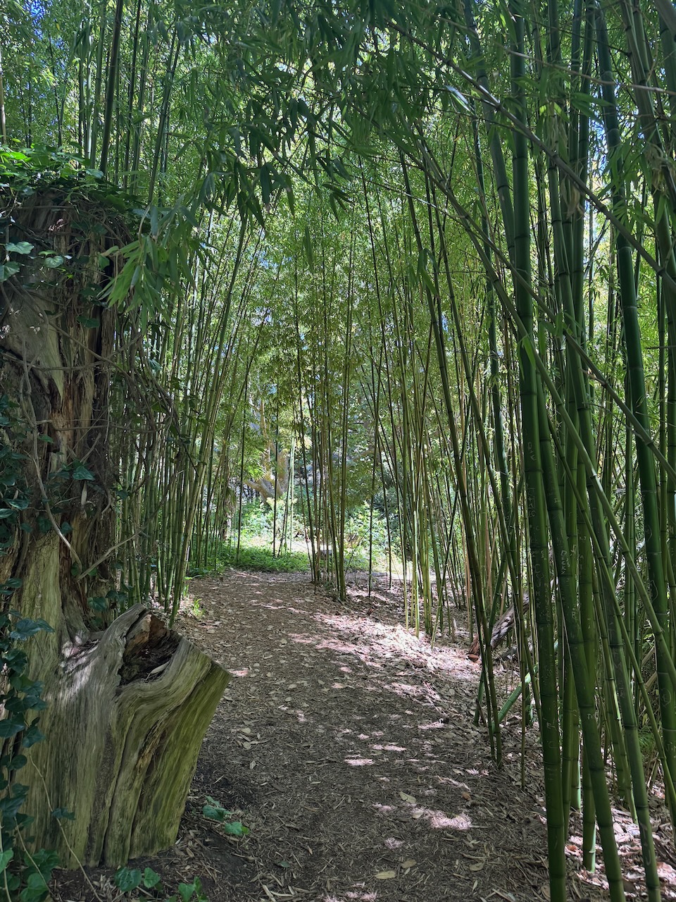 Botanic Garden (4)