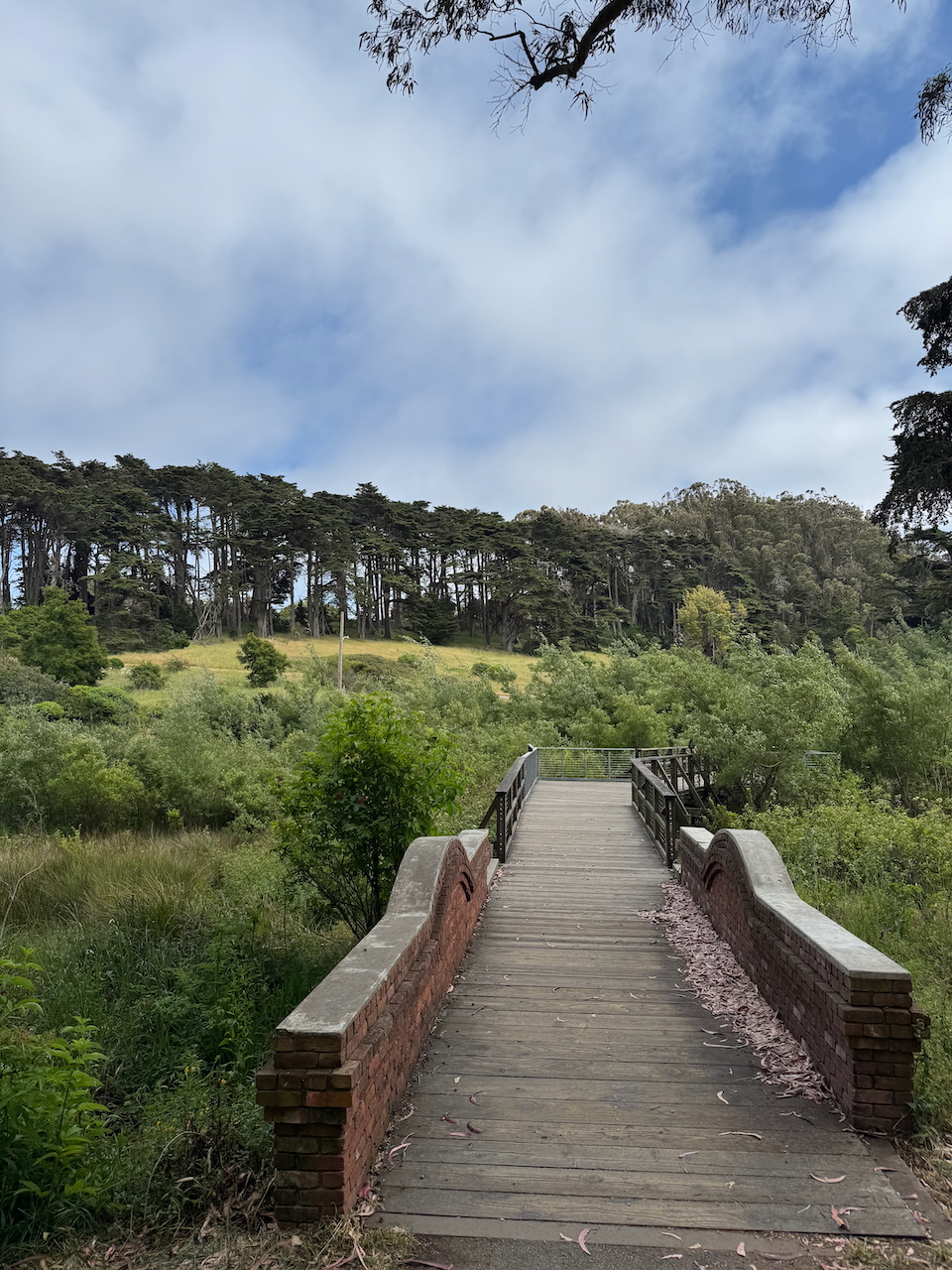 Somewhere near the Presidio