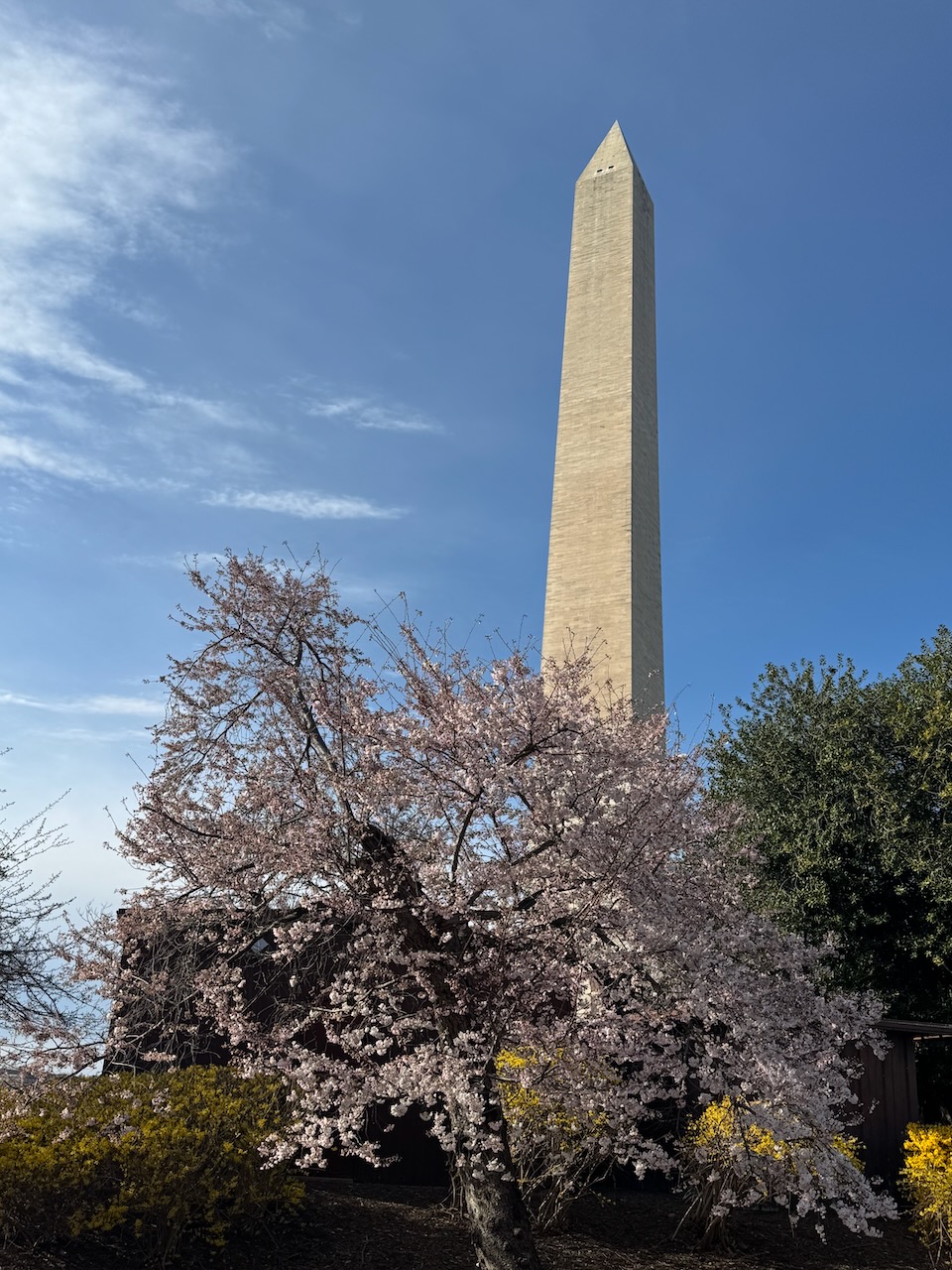 Washington Monument in Spring