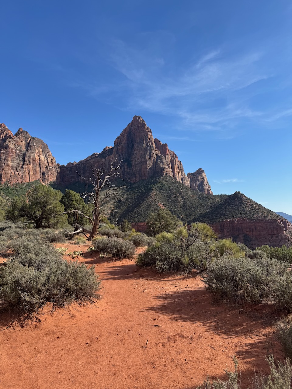 The Watchman