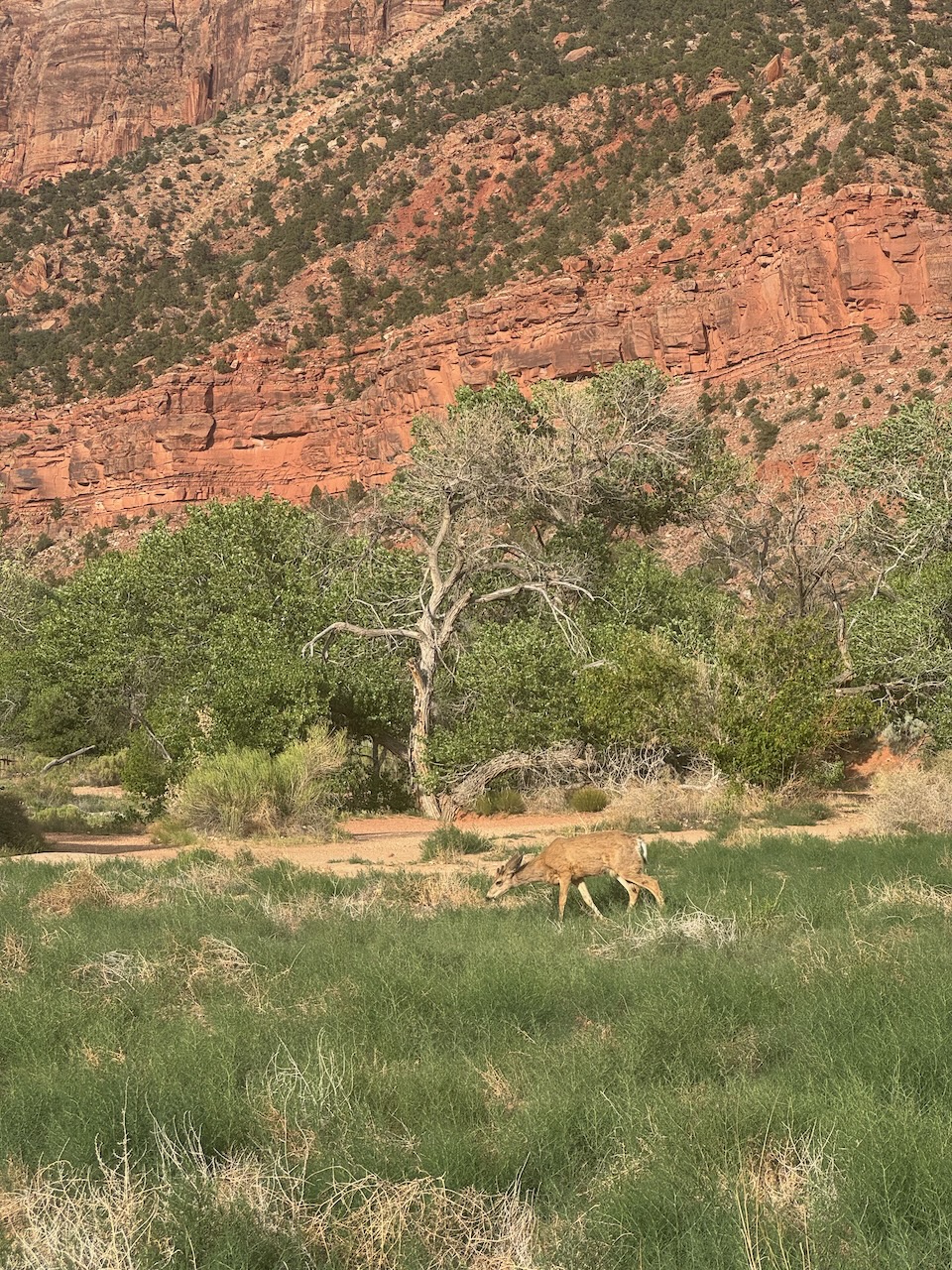Beginning of the trail