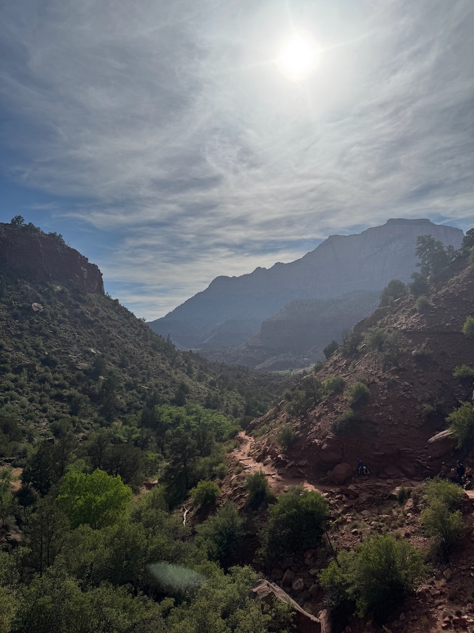 View of the trail