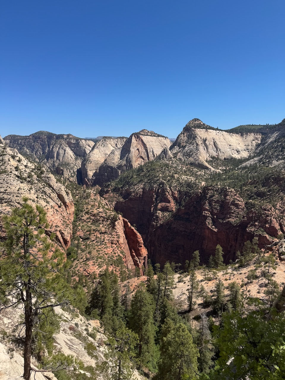 View of the trail