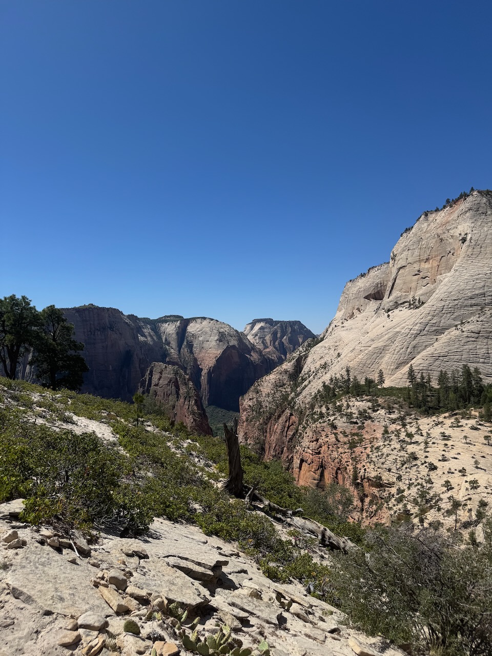 View of the trail