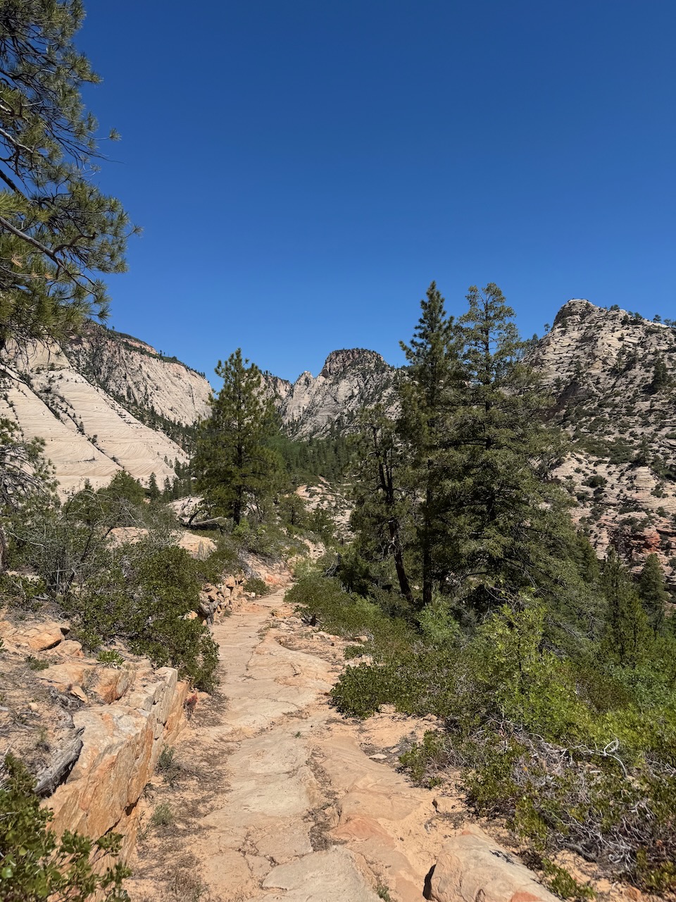 View of the trail